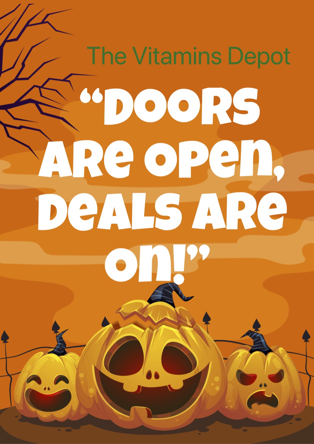 Premium Vitamin Supplements